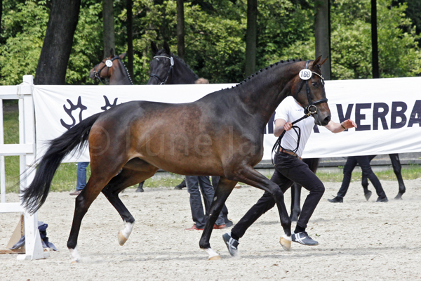 Evora © Lune Jancke